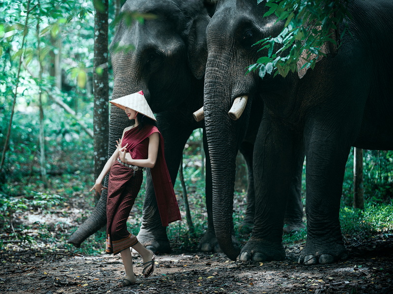 2025.9.20 吳哥奇觀&老撾人文精華攝影團