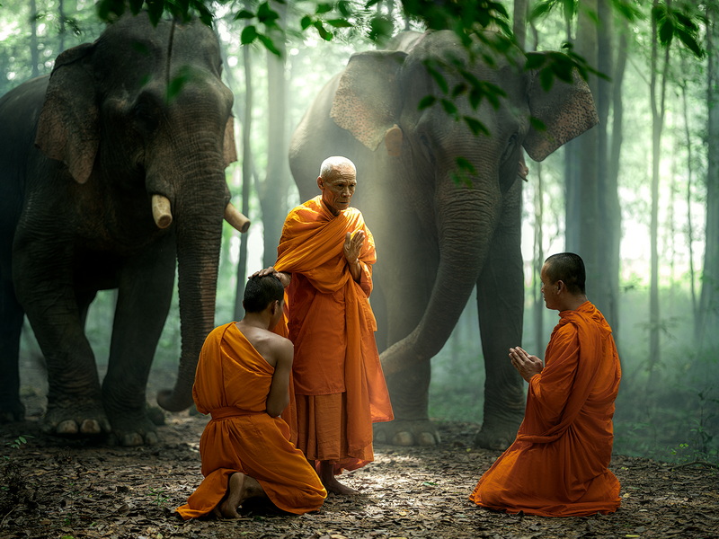 _DSF6054-編輯 拷貝