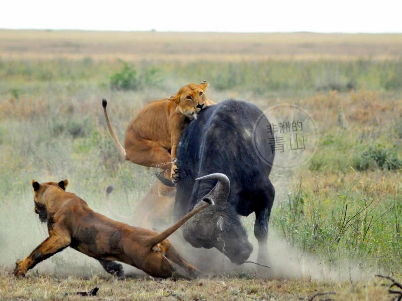 微信圖片_20231109150443 - 副本