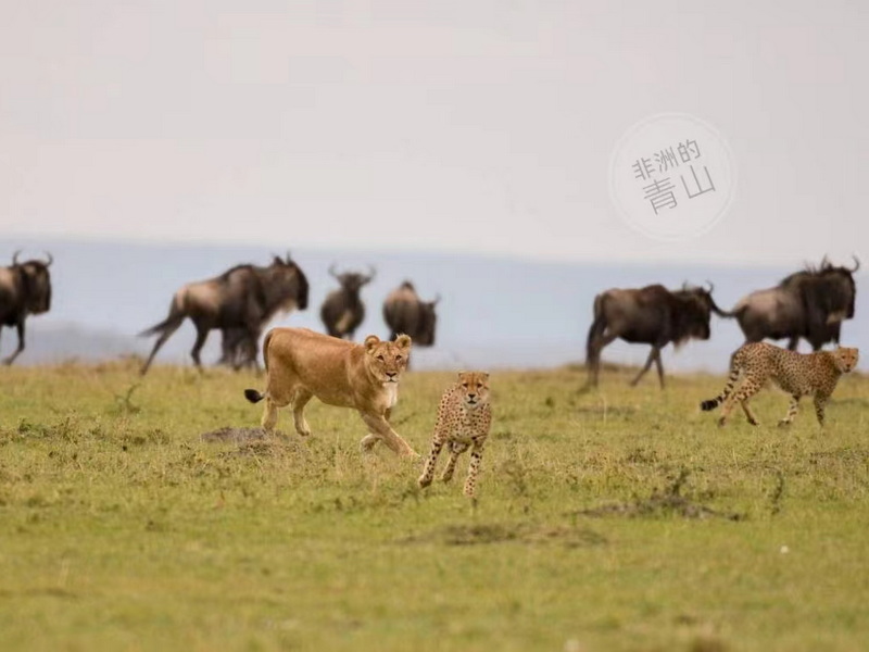 微信圖片_20231207110136 - 副本