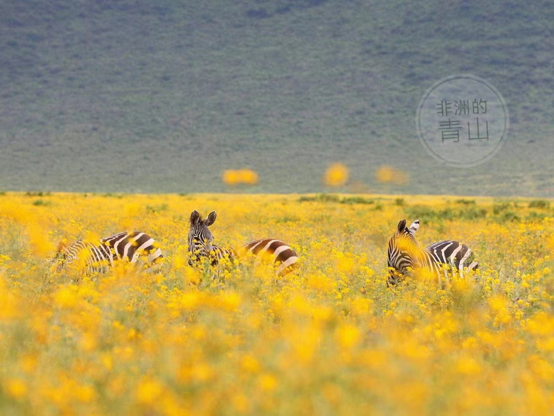 微信圖片_20231207110134 - 副本