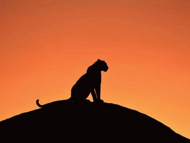 微信圖片_20240822140356