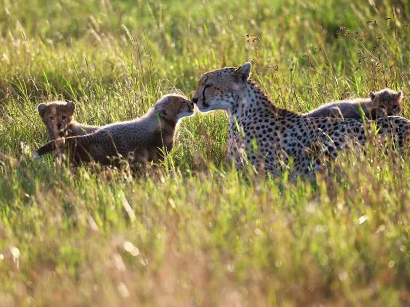 微信圖片_20240822140328