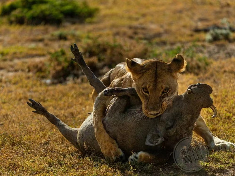 微信圖片_202311021034102