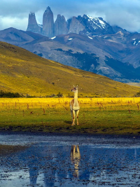 微信圖片_20240925155321