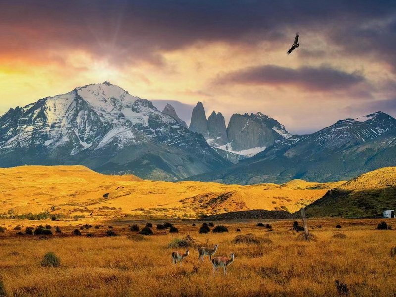 微信圖片_20240925155823