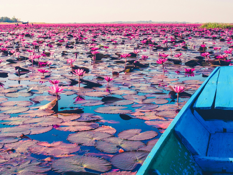 177618c842f4864f732e007a77a9bcb3