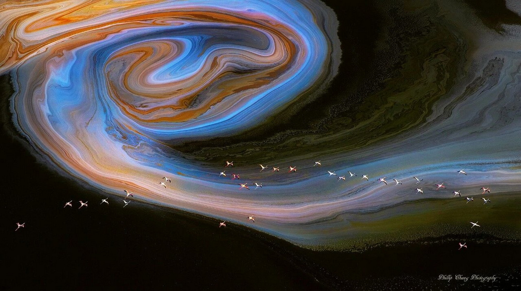 2026.2.12 肯尼亞私人保護(hù)區(qū)野生動物世界春節(jié)休閑攝影團(tuán)