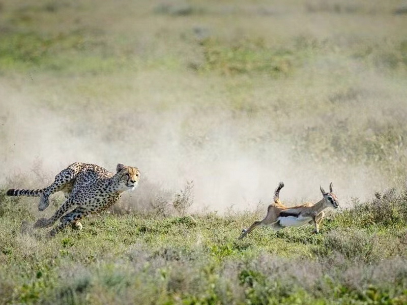 微信圖片_20240913105402